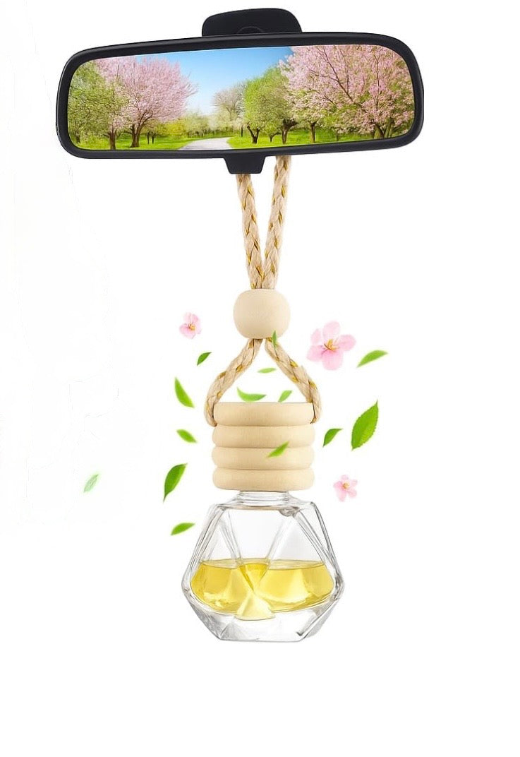 Hanging Car Freshener - Variety of Scents