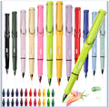 Colored Forever Pencils - 12 Pieces